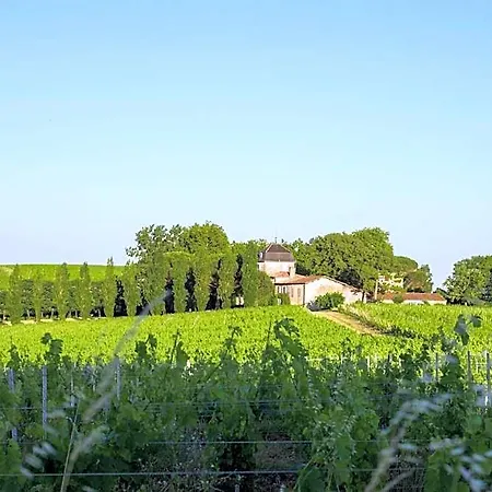 Atena Bordeaux Sud Est - Velo Friendly Créon